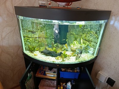 Juwel Trigon 180 + Besatz und Equipment