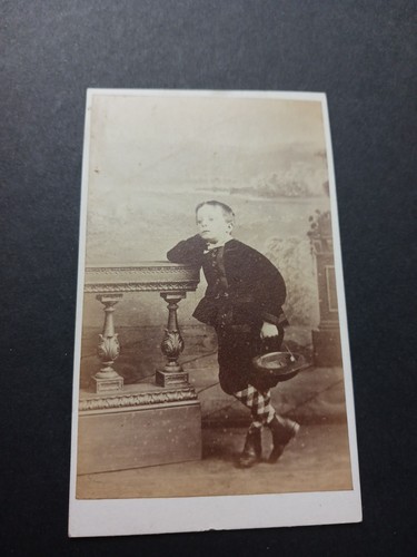Little Boy with knickers & plaid socks CARLTON Horncastle CDV photo backdrop vtg - Picture 4 of 5