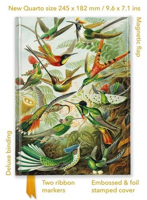 Ernst Haeckel: Hummingbirds (Foiled Quarto Journal) | Flame Tree Publishing