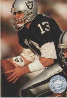 Pro Set Platinum 1991 NFL Card Los Angeles Raiders #213 Jay Schroeder