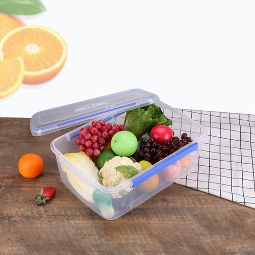 Reusable Storage Adult Lunch Box Sandwich Boxes Rectangle Container