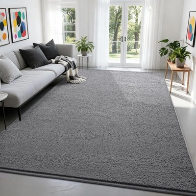 Large Modern Area Rugs for Bedroom Living Room, 4x6 Feet Grey Rug, ...