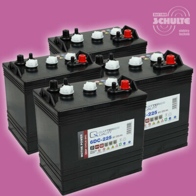 4 Stck Blei Akkus 6V 225Ah komp. Trojan T-105 f. JLG Bühne Gelenk Elektro 24V