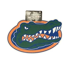 Rico Industries | Florida Gators NCAA Pennant | 17in X 11in