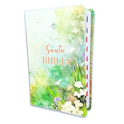 MUNDO BIBLIA Biblia Letra Grande 12 punto para Mujer RV1960 primavera floral verde con indice