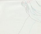 The Twelve Kingdoms Juuni Kokki Genga Douga Original Sketches Pierrot - Youko — photo 3