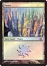 Plains - Dragon's Maze Implicit Maze Foil - Prerelease Promo x4 - Pre-Release Pr