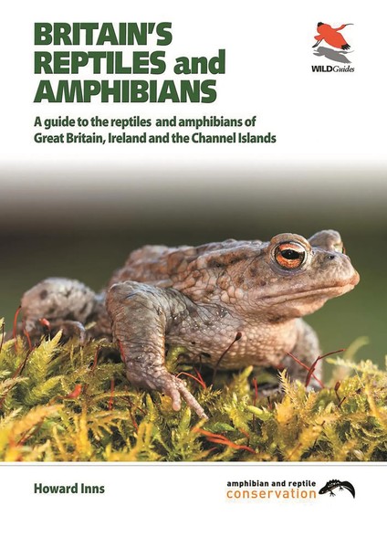 Britain's Reptiles And Amphibians | Howard Inns | Englisch | Taschenbuch | 2011-image