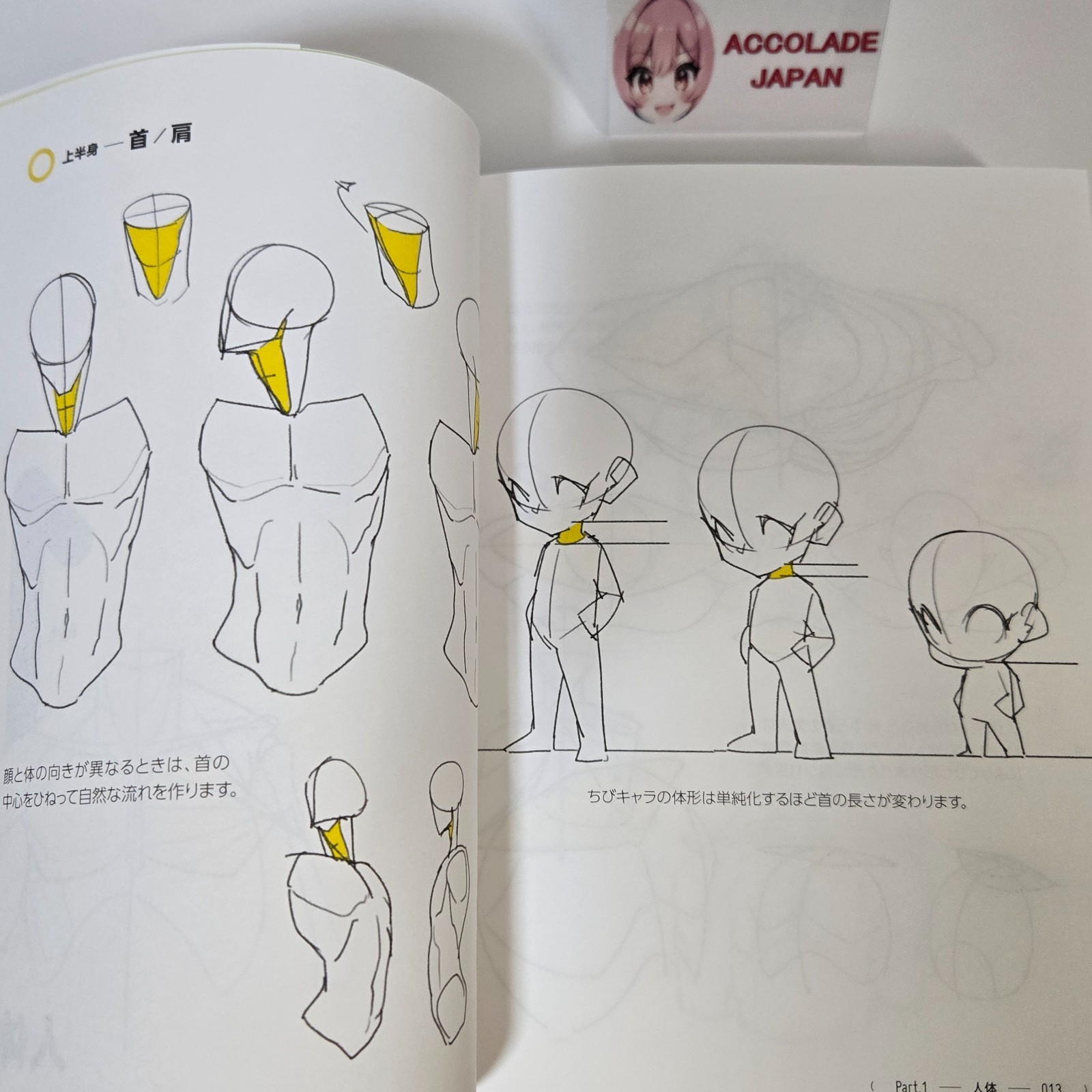Directly from TACO! 390 tips for dramatically improving your human body drawing