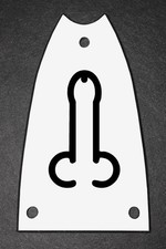 GUITAR TRUSS ROD COVER - Engraved Etched - Fit EPIPHONE Scoop - DONG White