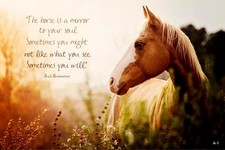 Buck Brannaman qoute horse  refrigerater magnet  3 1/2 X 4 1/2 "