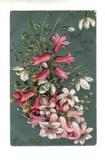 vintage-birthday-greeting-postcard-postmarked-lititz-1906-with-beautiful-flowers