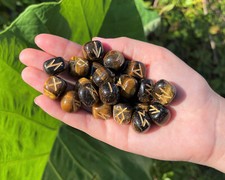 Tiger Eye Rune Stone Set and Velvet Storage Pouch, NEW Elder Futhark 