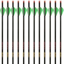 Gold Tip Arrows Velocity Hunter 300 340 400 500 1 Dozen 2" Raptor Vanes