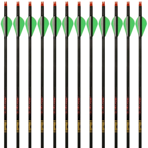 Gold Tip Arrows Velocity Hunter 300 340 400 500 1 Dozen 2" Raptor Vanes