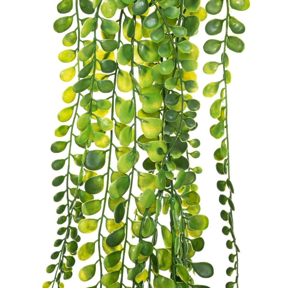 JJA PLANTE TOMBANTE ARTIFICIELLE 75CM VERT