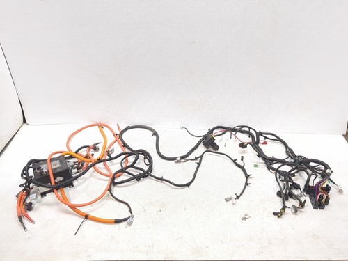 22-24 Kandi EV Cowboy E10K Main Wire Wiring Harness Loom & Voltage Control Box