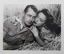 Alan Ladd Dorothy Lamour 8x10 Photo Wild Harvest Film Actor Actress Glossy Print