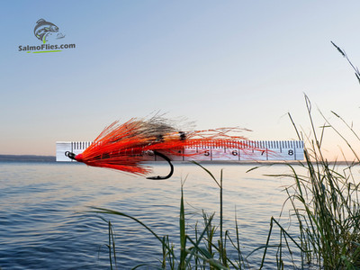   3er Set: NEU Lachsfliegen - Ally's Shrimp Streamer | Haken #2  