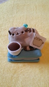 pusheen book plush