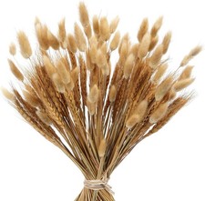 Getrocknete Blumen Weizen 41cm 160PCS mit 6m Leinenband Deko Hochzeit Balkon