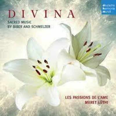 Passions De L'Ame - Divina [New CD] Germany - Import