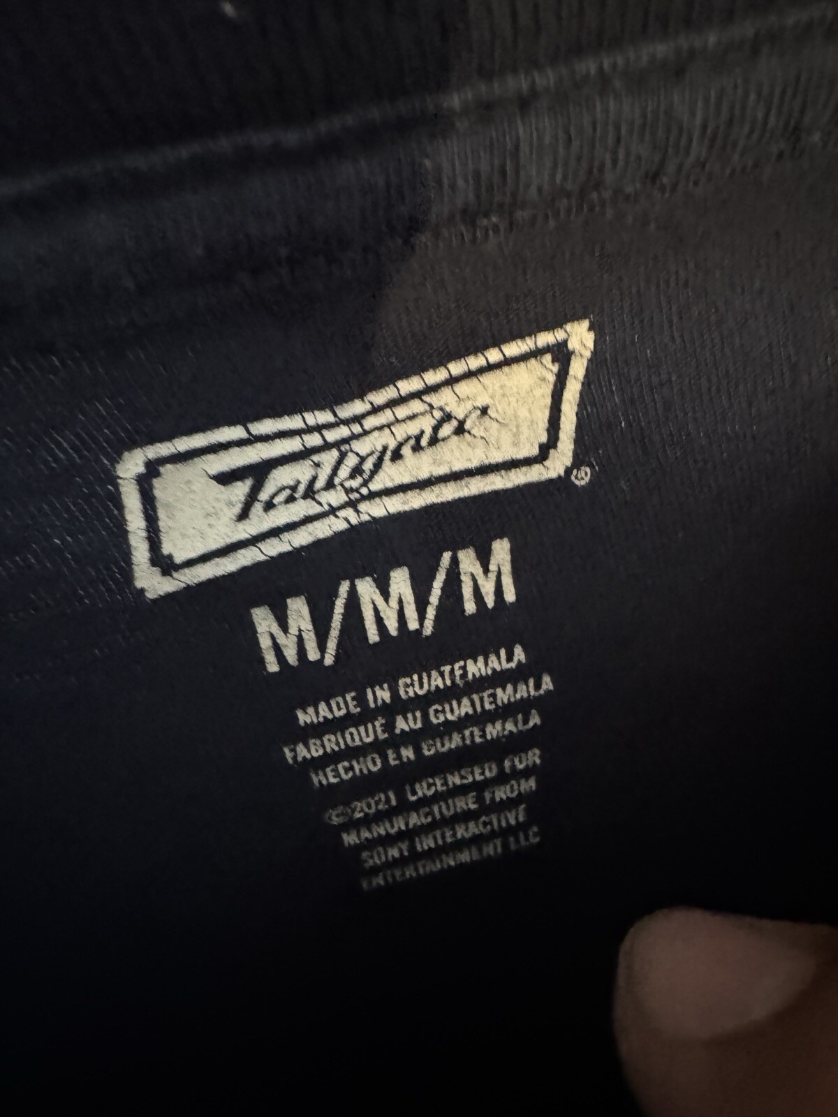 Tailgate Playstation American Eagle Embroidered M… - image 3