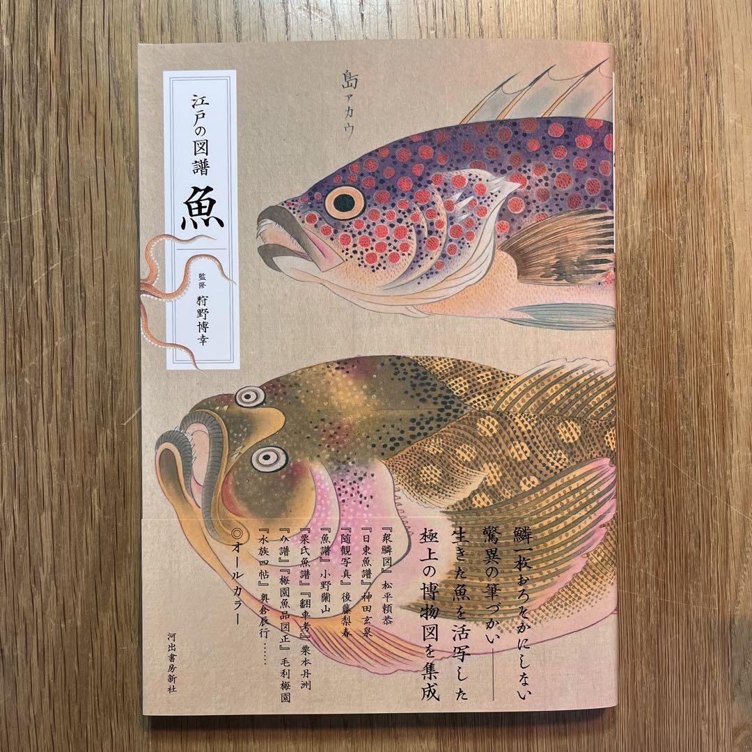 Fish Illustrated Book of Edo Period Japanese Fish Tokyo Historical