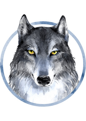 XXL 18x18 cm car sticker sticker wolf sticker