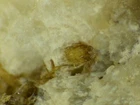 PHOSPHOINNELITE from Kola, Russia * RARE SILICATE MINERAL * 1,1 cm