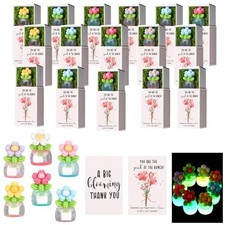 Sets Employee Appreciation Gift Luminous Flowerpot Bulk Emotional Support 20
