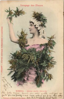CPA AK Mimosa, Sprache der Blumen BERGERET (1138710)
