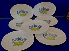Seven Thomas Porcelain Rosenthal Spring floral Oval Plates