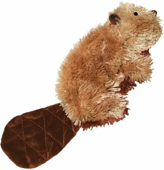 kong beaver