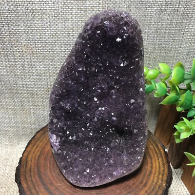 513g Natural Amethyst Cluster Geodes Cut Base Quartz Crystal Healing Specimen 59