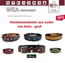 Hundehalsband Leder  Nylon Hunter