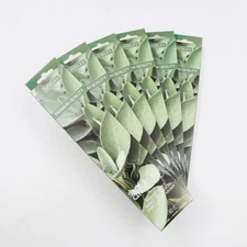 Hosley 120 Pack Incense Sticks + Bonus 120 Pack (Total 240) – Sage & Citrus – Bu