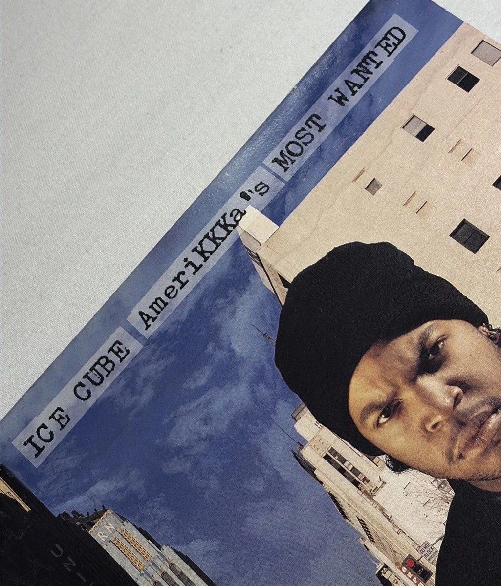 Ice Cube AmeriKKKa's Most Wanted Vinyl LP Album 1990 Priority