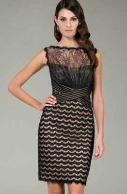lace & mesh midi cocktail dress tadashi shoji Kendall Strap Lace Cocktail Dress – Tadashi Shoji Official Online Boutique main image 1