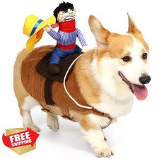 T2Y Cowboy Rider Dog Costume S Small Dog Cat Halloween Knight Outfit