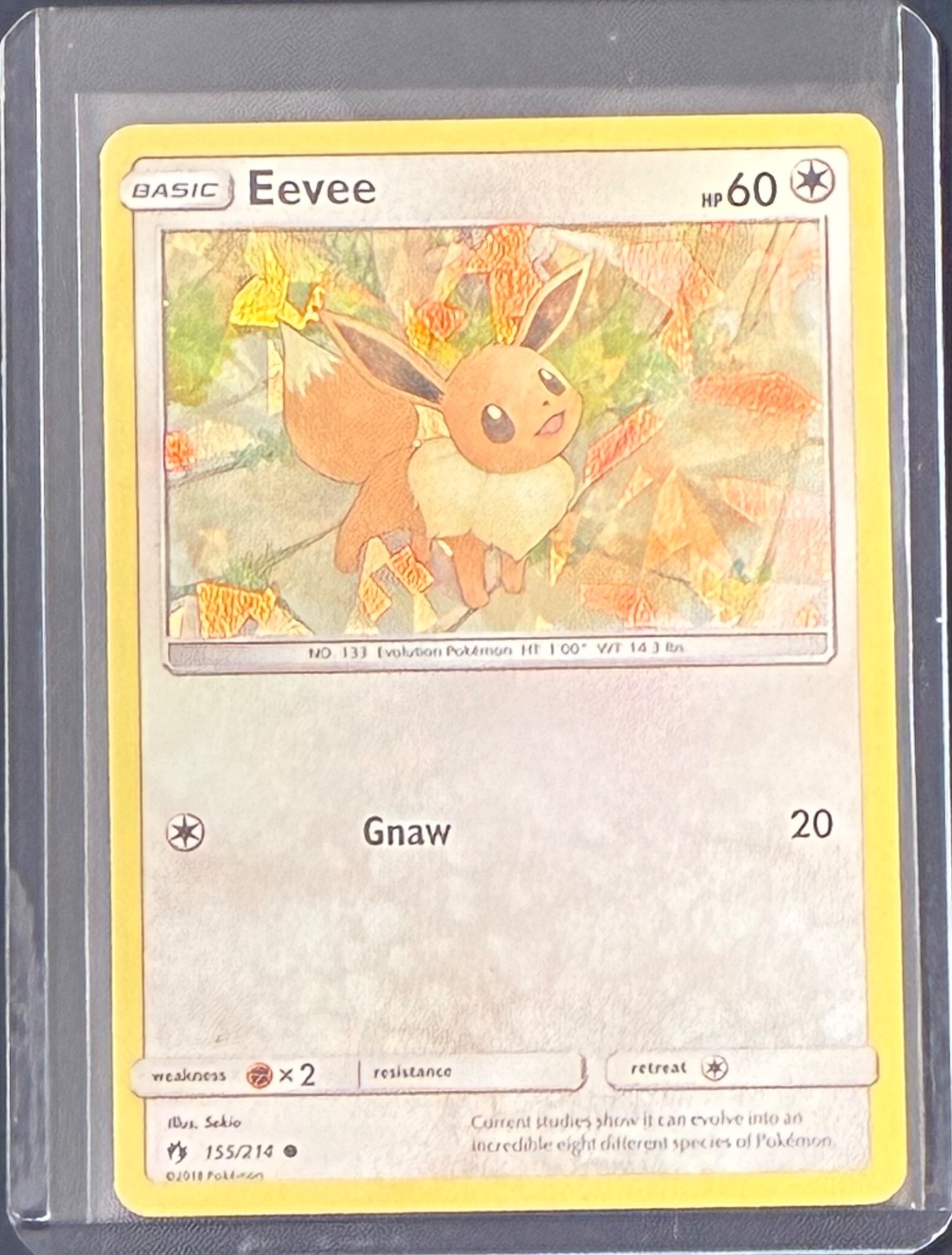Eevee 155/214 Lost Thunder Rare Cracked Ice Holo 2018 Pokemon Near Mint NM