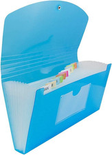 Accordion Folders - 13 Pocket Plastic Expanding File - Check Size - 5
