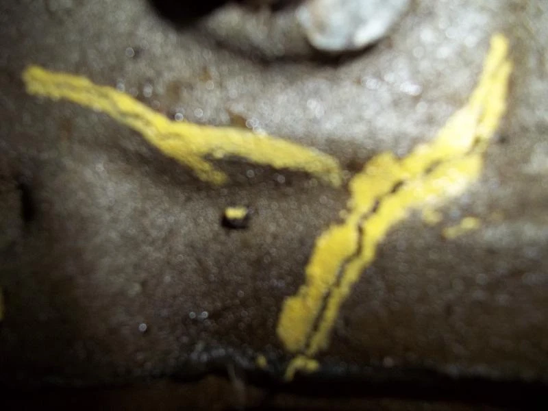 Colector de escape usado se adapta a: Mercury Mariner 2009 2,5 L VIN 7 octavo dígito grado A Foto 4 de 4