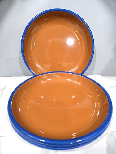 Set of 4 Crow Canyon Enamelware 10" Dinner Plate Brown with Blue Rim