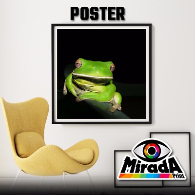 Poster Frosch Grün Fotos Natur Frosch Lurch 2 Papier Kamera 35x35 50x50 70x70