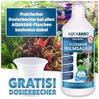 Bild 3 von 8