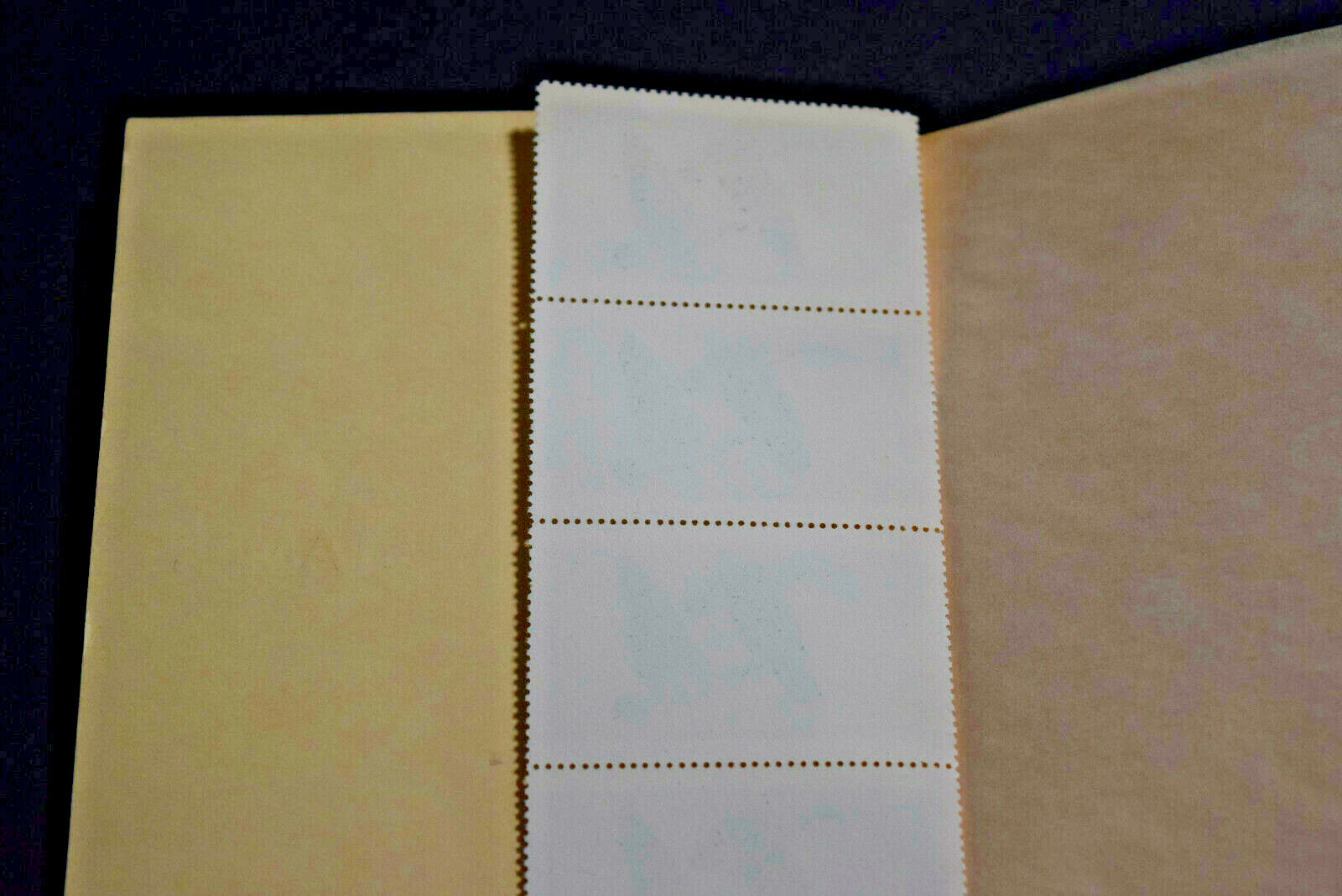 Picture 6 of 7