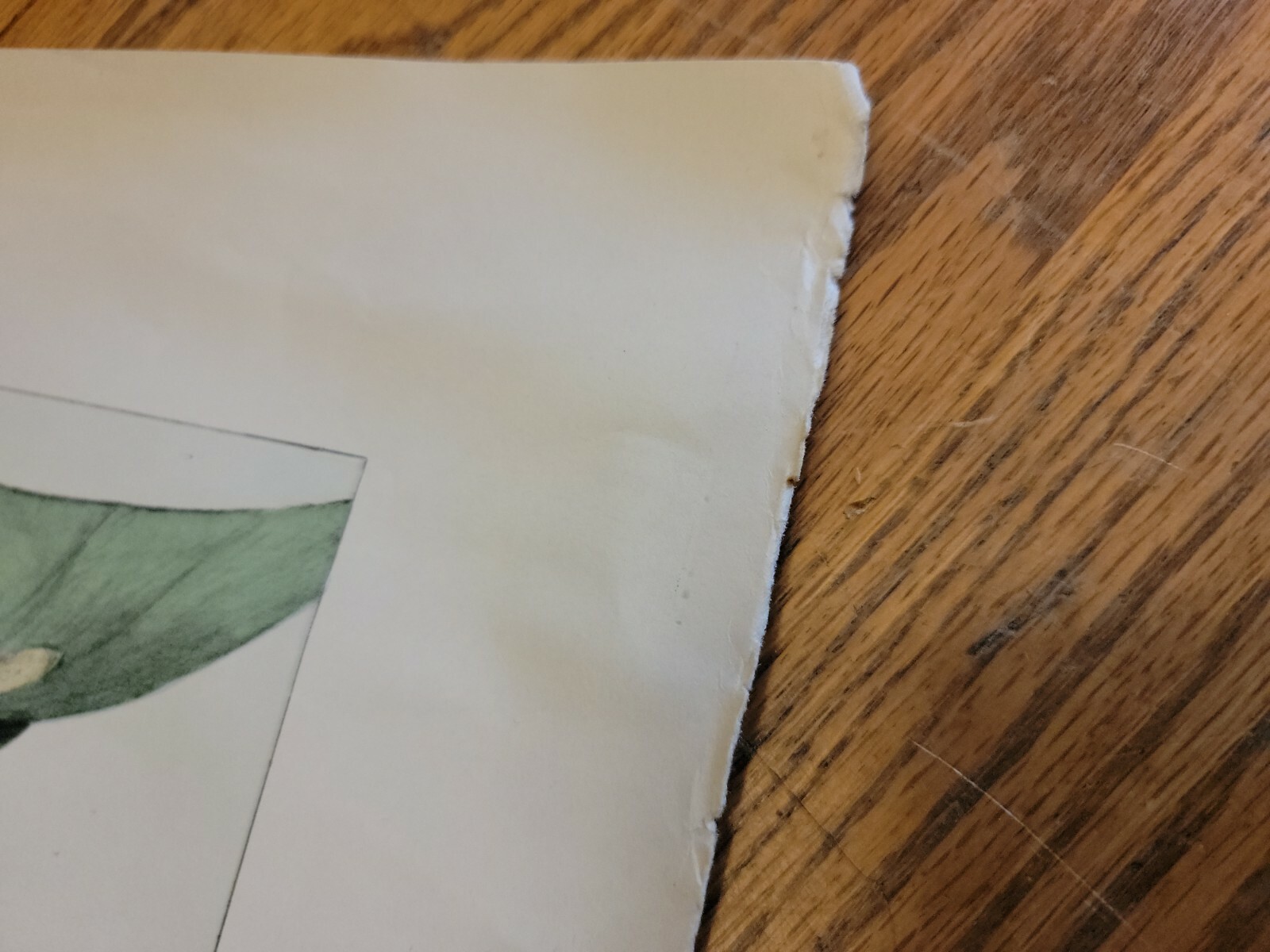 Picture 12 of 12