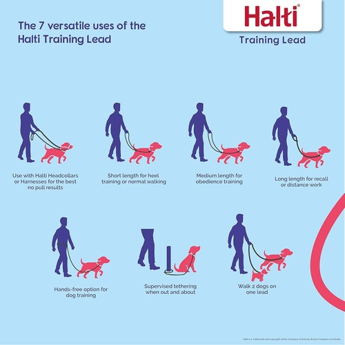 HALTI Training Leash - Multifunctional Double-Ended Dog Leash, Large, Black - Picture 2 of 5