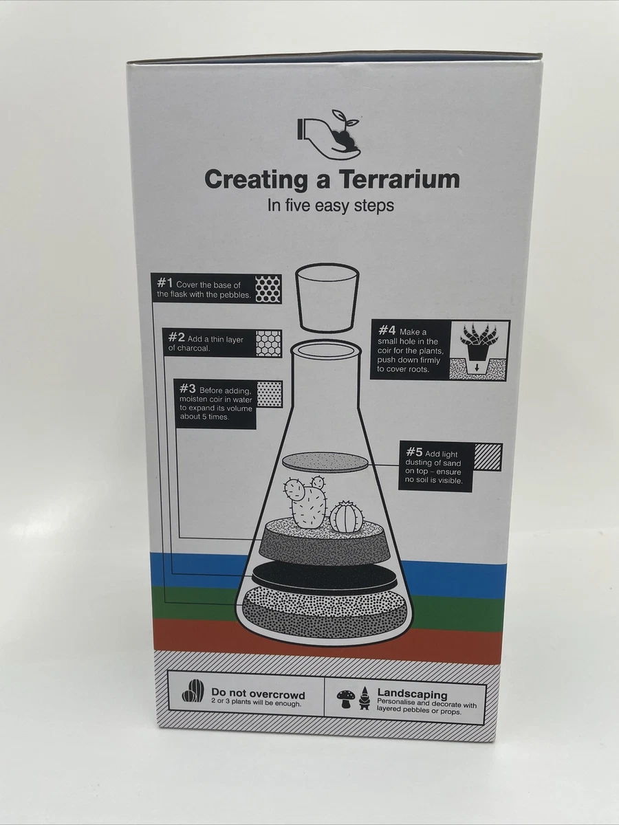 Bottle Terrarium Ecosystem Glass Chemistry Flask Kit